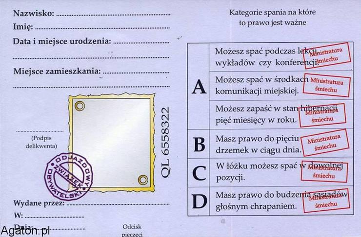 Wnioski i podania - 295723_o.jpg