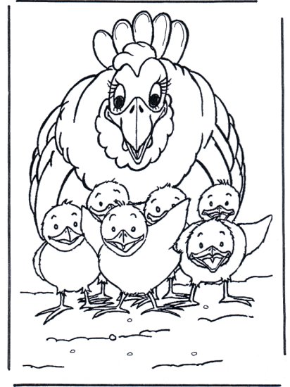Zwierzęta i ich dzieci - kolorowanki - kura z kurczakami1.jpg