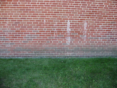 Outdoors - brick-wall2.jpg
