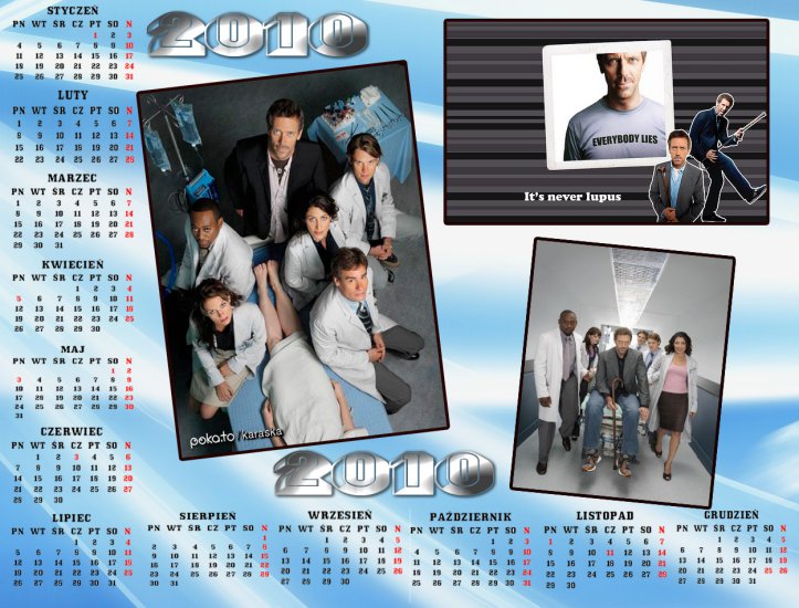 Kalendarze 2010 - Kalendarz 2010 House 1.jpg