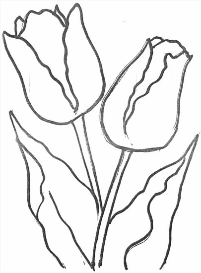 kwiaty3 - tulipany.jpg