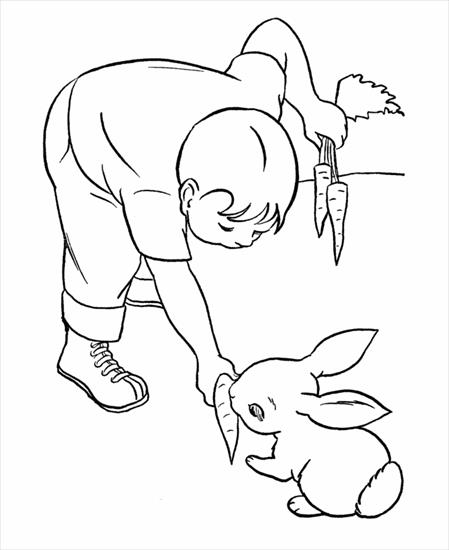 domowe i hodowlane - 04-pet-rabbit-002.gif
