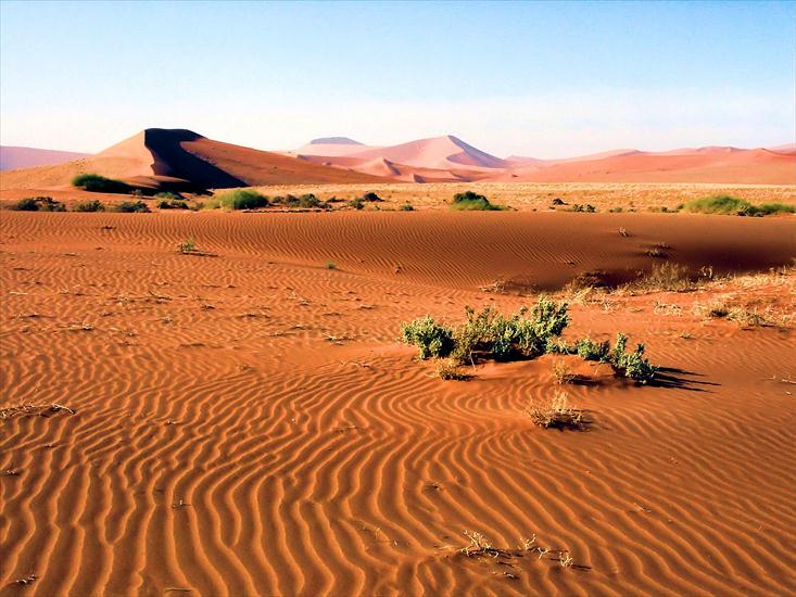 Namibia - NamibNaukluftParkDunes.JPG