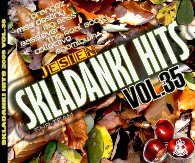 Skladanki Hits  2009 Vol.35 - przód.jpg