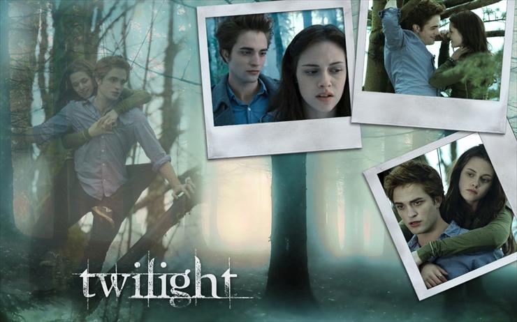 zmierzch - Twilight-Wallpapers-twilight-series-3339418-1280-800.jpg