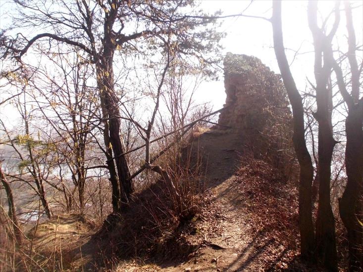 Melsztyn i ruiny zamku - IMG_0067.JPG