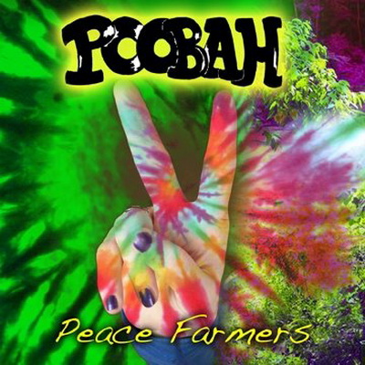 Poobah - Cosmic Rock 2014 - 2010.jpg