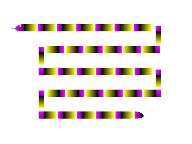 iluzje optyczne - movsnakes3.jpg