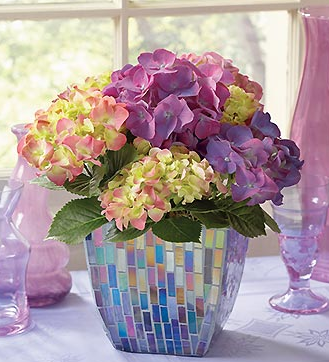 Hortensje - Make an order mother_s day flowers with this beautiful Purple Hydrangea in Mosaic Planter.PNG
