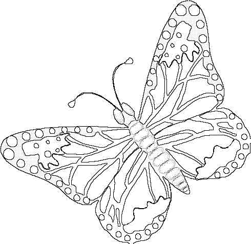 Motyle - schmetter02.gif