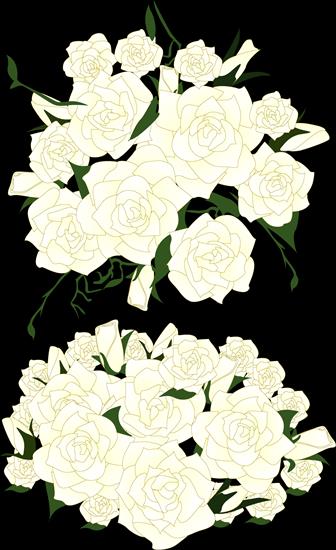 Białe róże - 384d41291c47.png