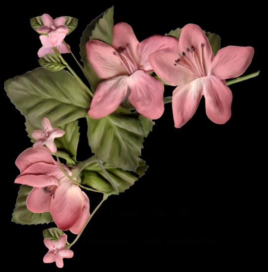 Kwiaty narożniki - Pink Flowers 1.png