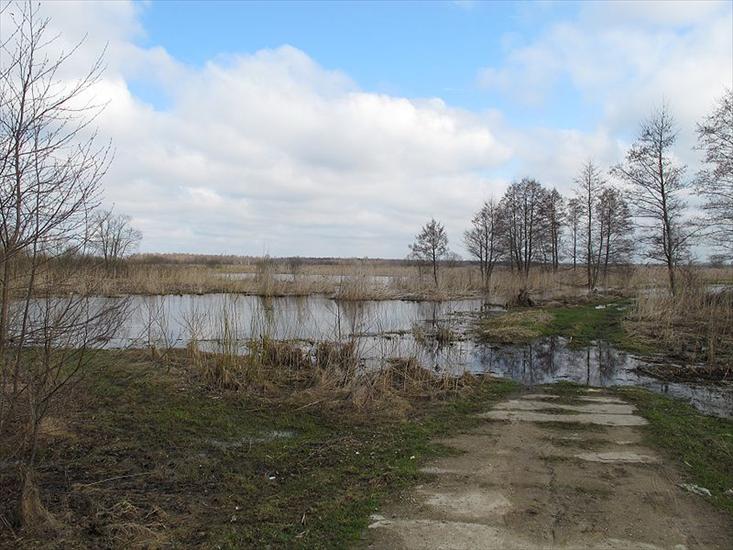 Narwiański - Podlaskie_-_Choroszcz_-_Rzędziany-Pańki_Narew_floodplains_-_0,57km.JPG