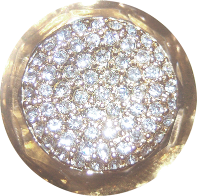 Christmas Delices Collection - NLD Circle strass.png
