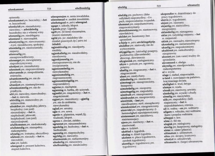 słownik - Słownik Polsko Norweski 257.jpg