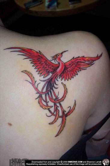 Tatuaże - ptica.jpg