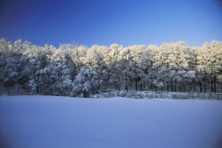 Veer Fancy Photography - Winter Scenery - FAN1006512.jpg