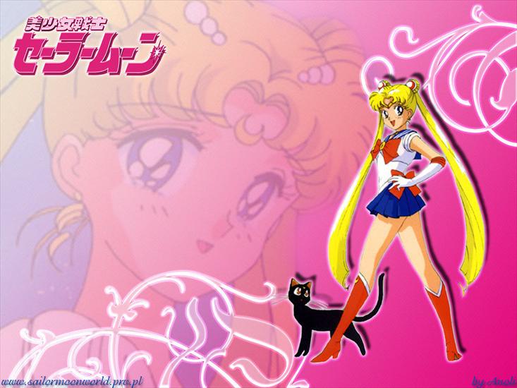 Sailor Moon - Sailor Moon-Usagi13.jpg