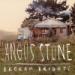 Angus Stone - Broken Brights 2012 - AlbumArtSmall.jpg