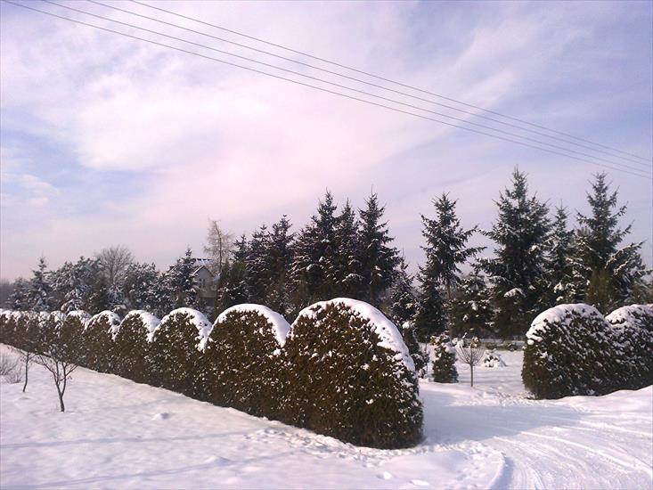 2013 - Zima w ogrodzie.jpg