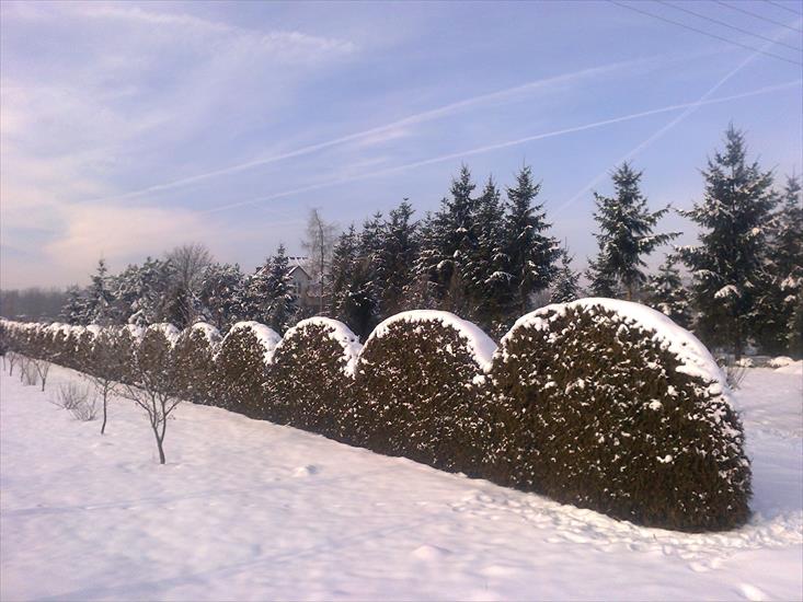 2013 - zima w ogrodzie 1.jpg