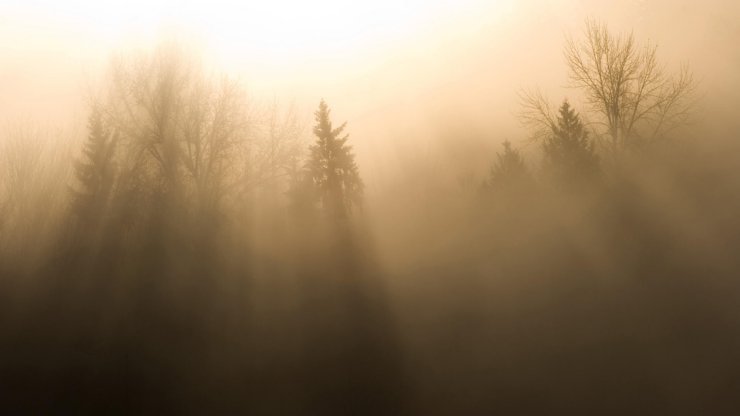 long - Sun Filtering Through the Fog, Snoqualmie Valley, Washington.jpg