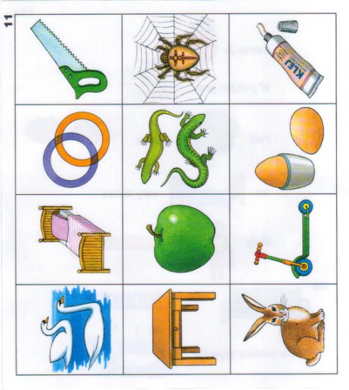 logopedia - Obraz11.jpg