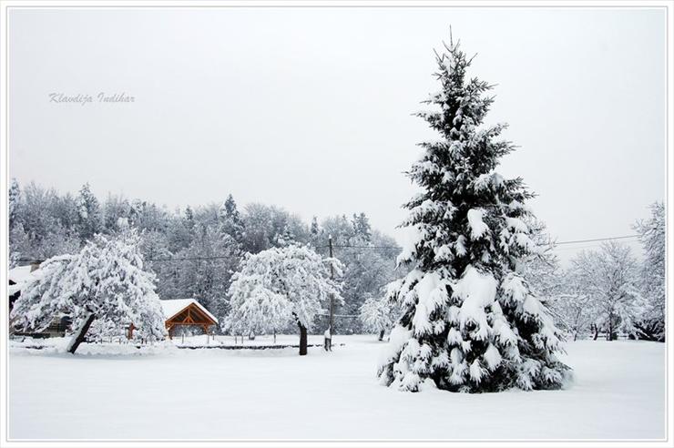 Choinki czas - winter_fairytale_by_Shadows_in_Twilight.jpg