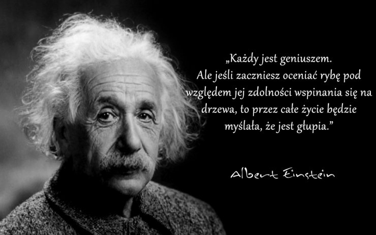 Słowa Sławnych - Albert Einstein.png