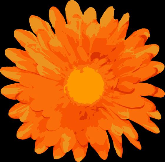 Grafika ai Kwiaty 1 - orange.png