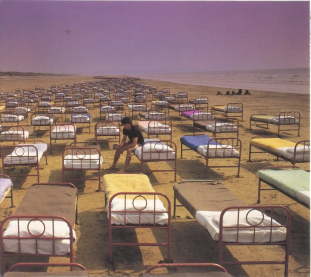 13. A Momentary Lapse of Reason - Cover.jpg