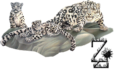 Alfabet z Leopardem - Z.gif