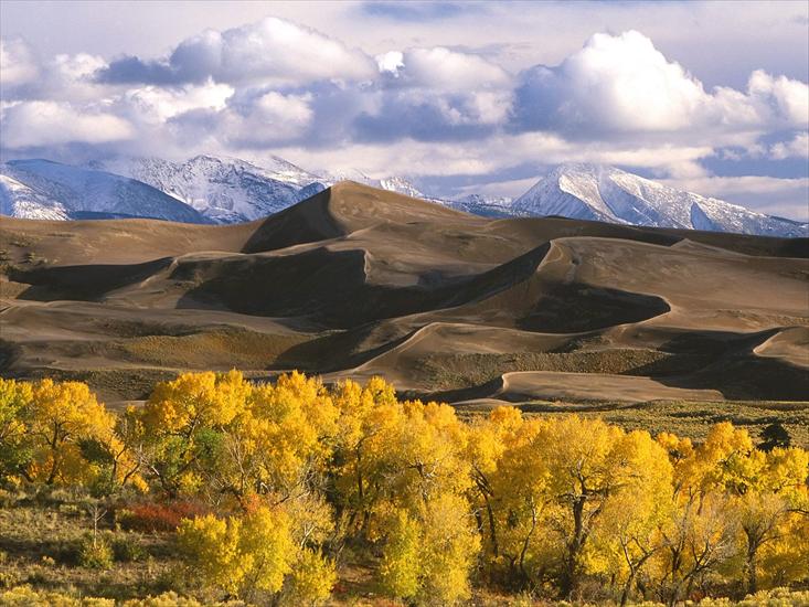 G-Góry Oceany - Dunes and Fall Color, Colorado.jpg