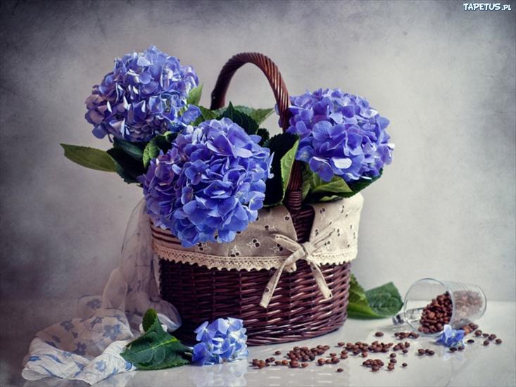 w wazonach - 99825_kosz-niebieskich-pelen-kwiatow.jpg