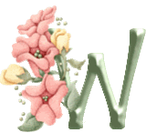 Alfabet z Kwiatkiem - 002 - W.gif
