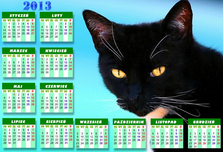 KALENDARZE - Black-Cat calendar 2013.jpg