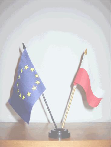 UE - flagi.JPG