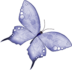motyle,owady - ButterflieBlueVab.png
