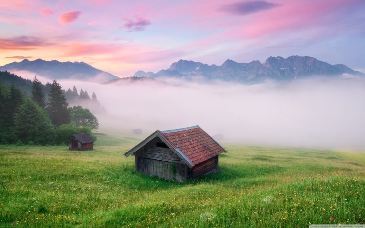 tapety 1440x900 - alps_meadow_germany-wallpaper-1440x900.jpg