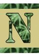 Alfabet Zielony - n.gif
