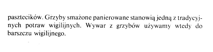SUSZONE - GRZYBY SUSZONE PANIEROWANE-1.bmp