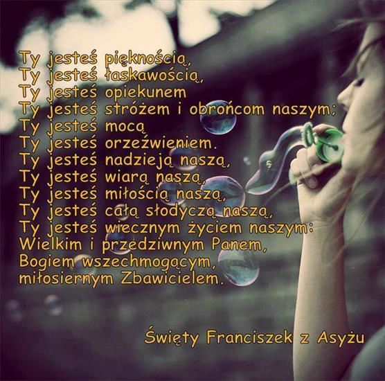 Święci - sw. Franciszek z Asyżu.jpg