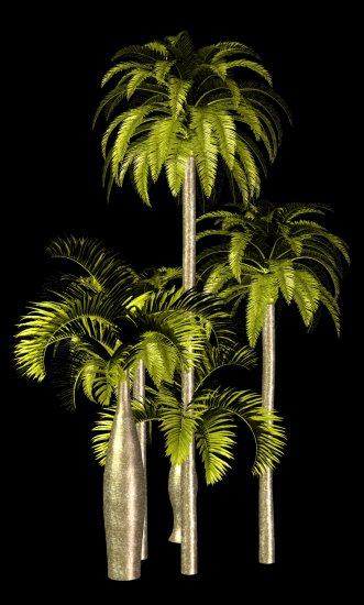 PNG-PALMY 1 - R11 - Palms - 2013 - 028.png