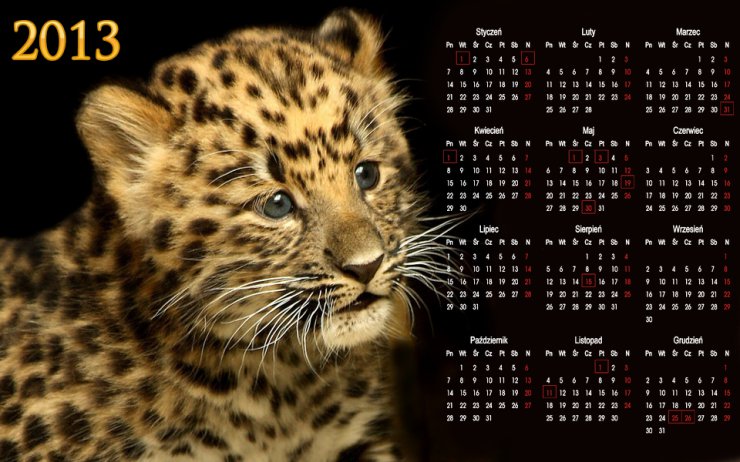 KALENDARZE - kalendarze 2013.jpg