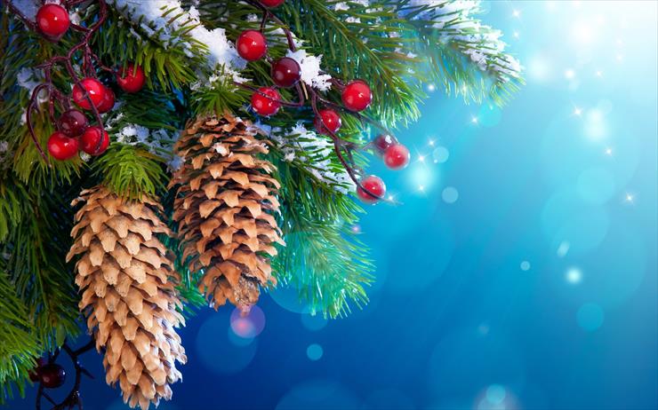 świateczne - Christmas-Tree Branches with Cones.jpg
