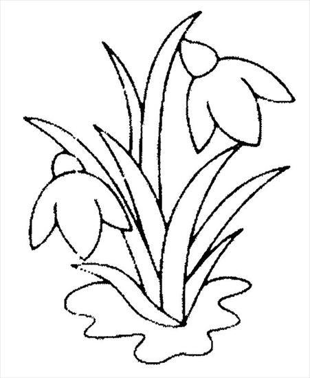 Kolorowanki - kwiat 53.JPG